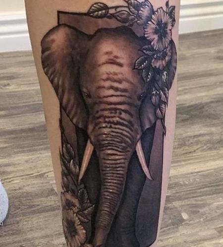 Ryan Cumberledge - Ryan Elephant